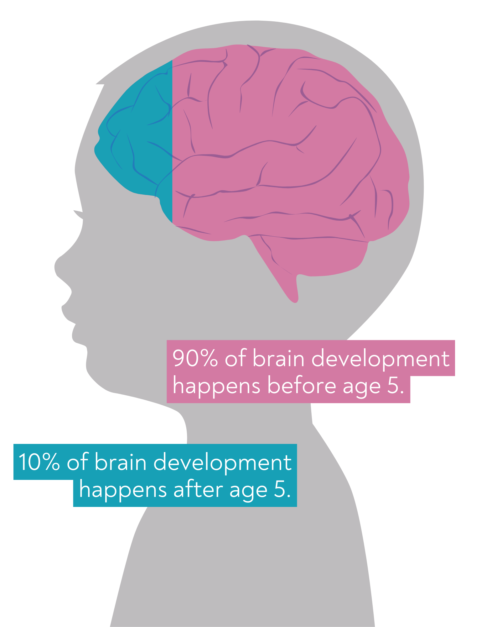 Brain development statistic - 90% before age five