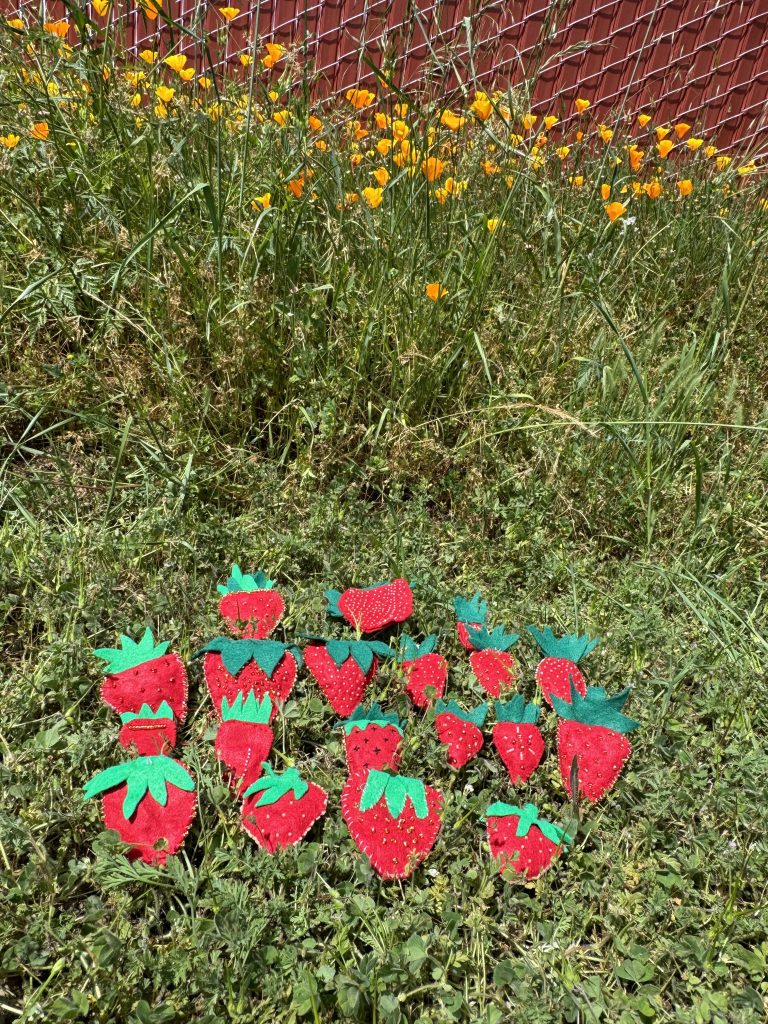 Strawberries are symbols of fertility. The training attendees crafted these strawberries during the training with felt and beads